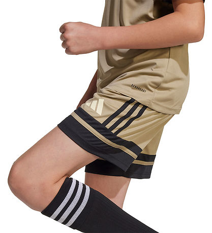 adidas Performance Sportshorts - SQUA25 - Schwarz/Schwarz/Warvan