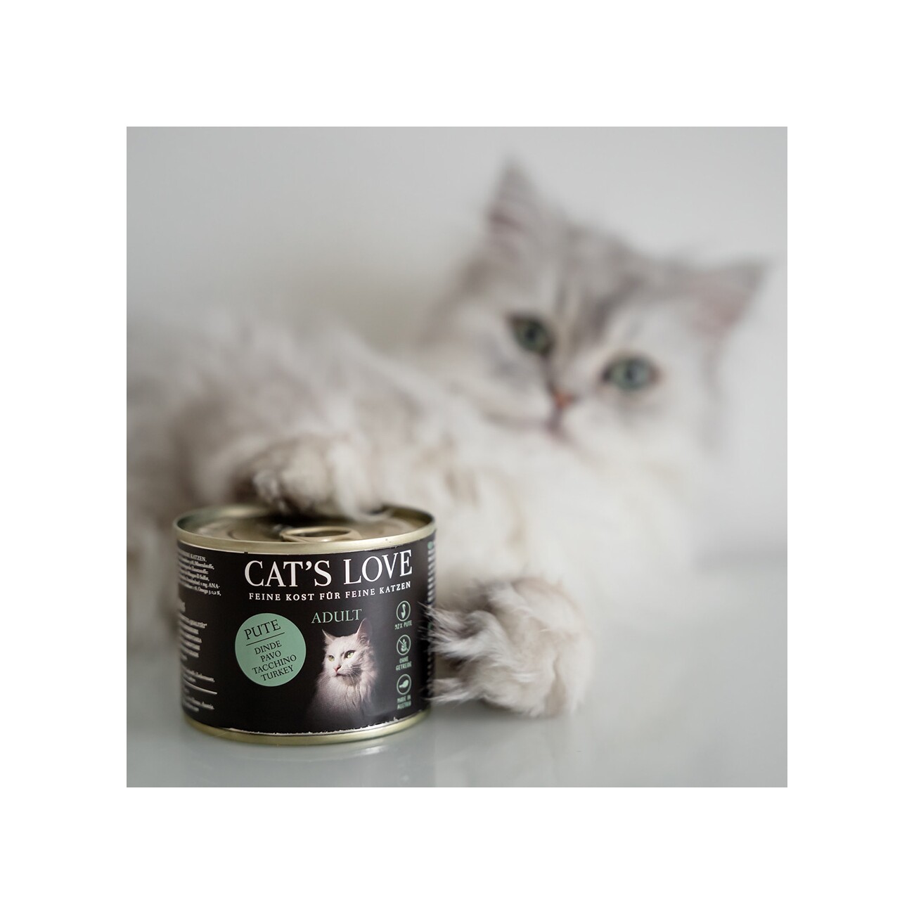 CAT'S LOVE Nassfutter Katze Adult Pute 6x200 g