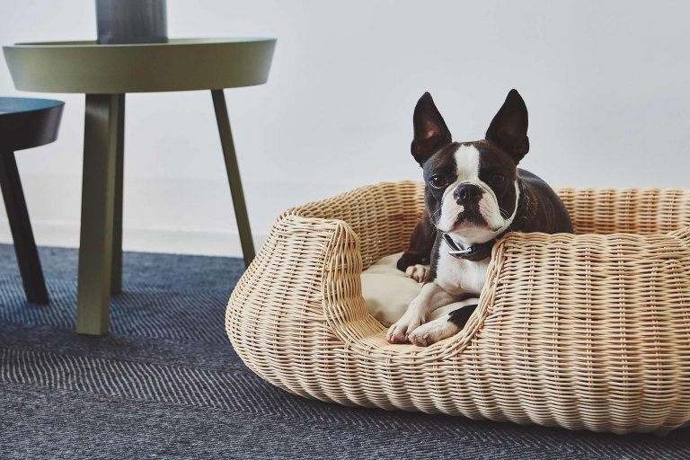 MiaCara Mio hondenmand small greige