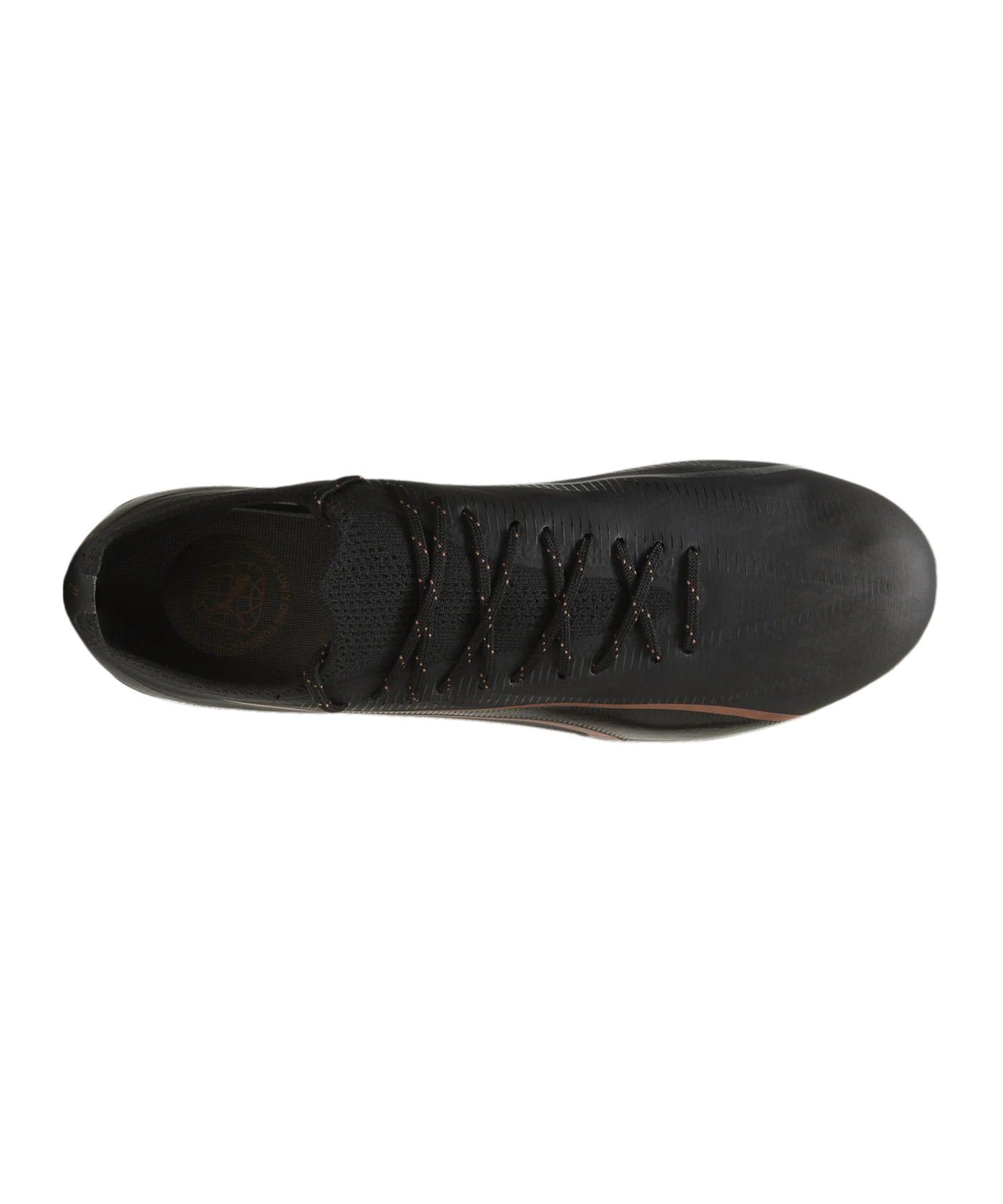 PUMA ULTRA Ultimate FG/AG Eclipse Schwarz Bronze F02