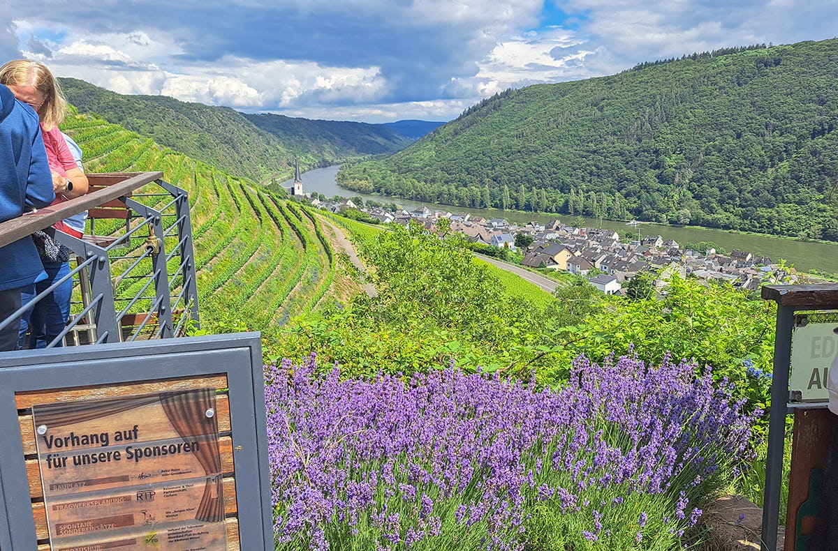 Weinausflug & Schifffahrt auf der Mosel