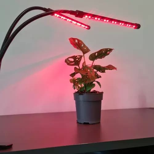 Lampe 20 LED 2stk for plantevekst Gardlov 19241