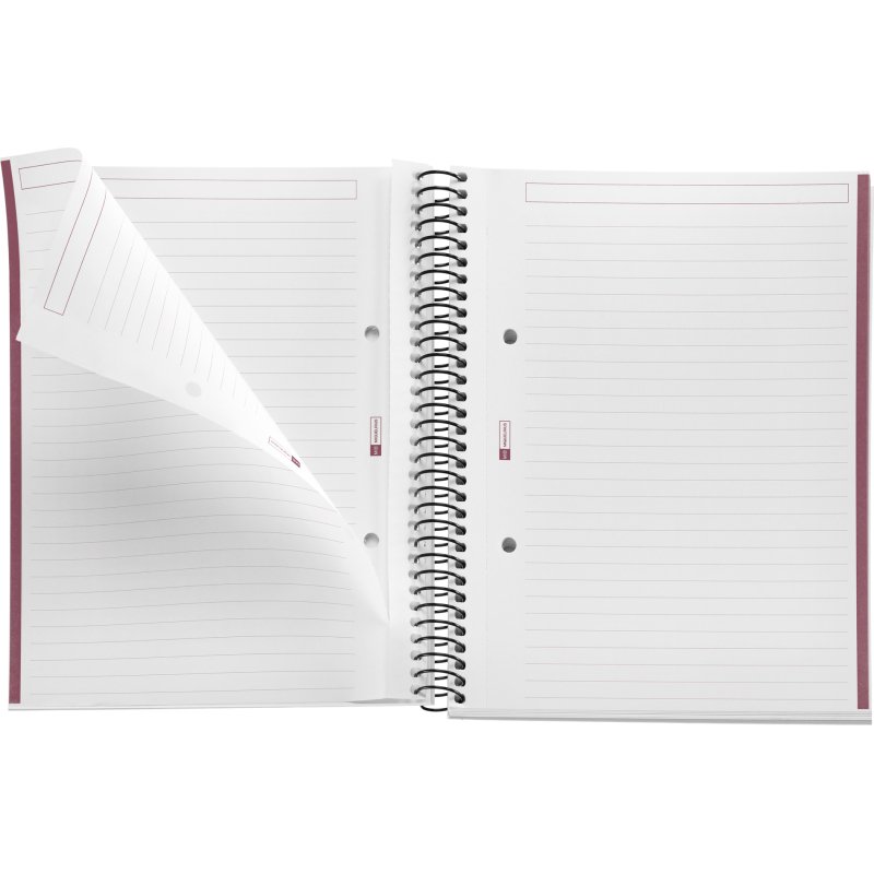 Notebook The Original, Couverture rigide, A5, lignes horizontales, 80 feuilles de 1 couleur, Miquelrius, Sable.
