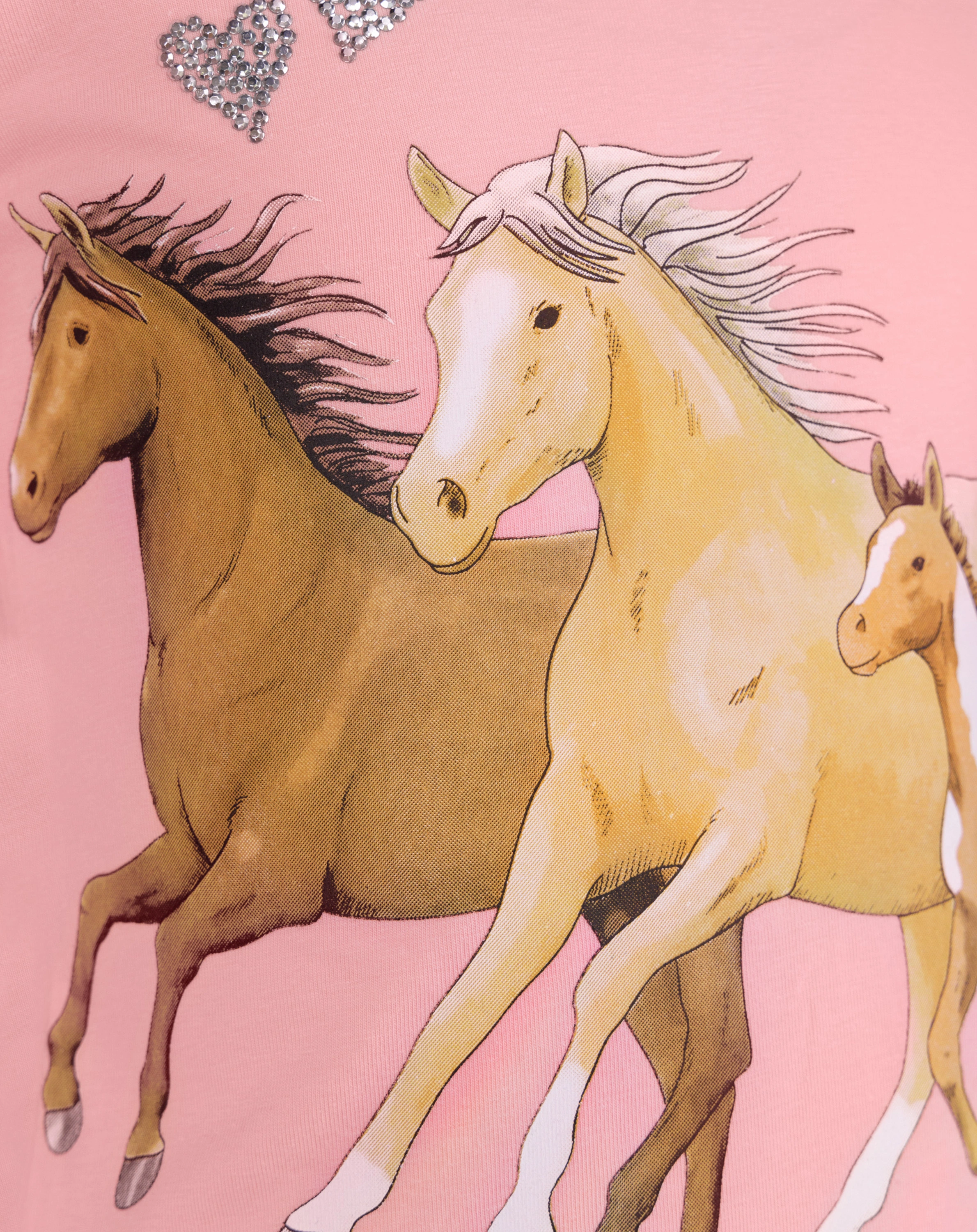 Langarm-Shirt HORSE FAMILY in pink