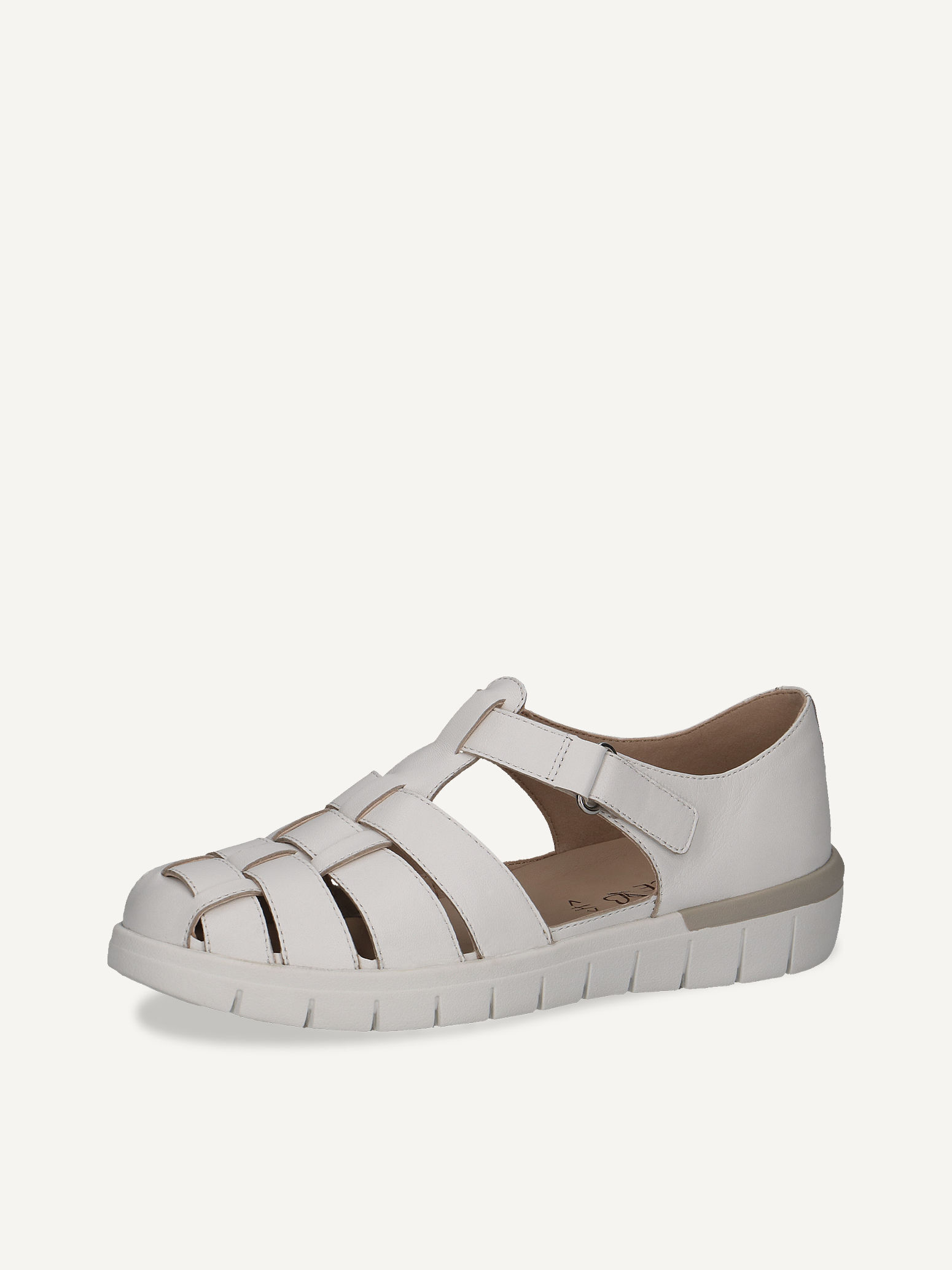 Slipper