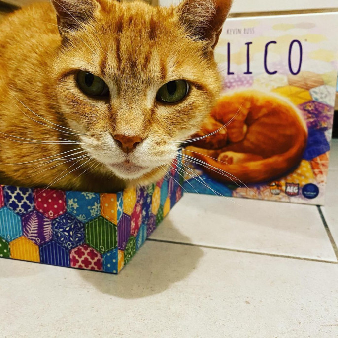 Calico