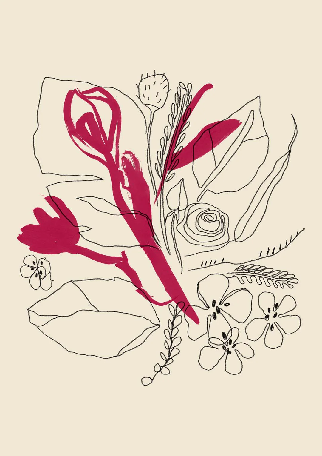 Bouquet Magenta und schwarze Linien