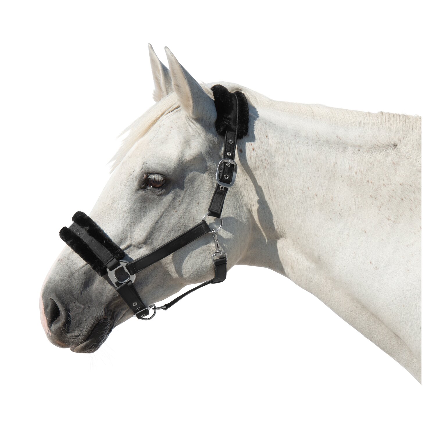 Cheval de Luxe Halfter Manila  - black