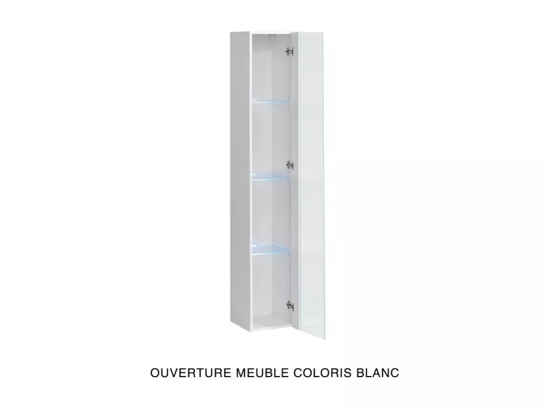 Vitrine suspendue – Gris – Collection SWITCH – Porte vitrée et LED inclus – Grand modèle