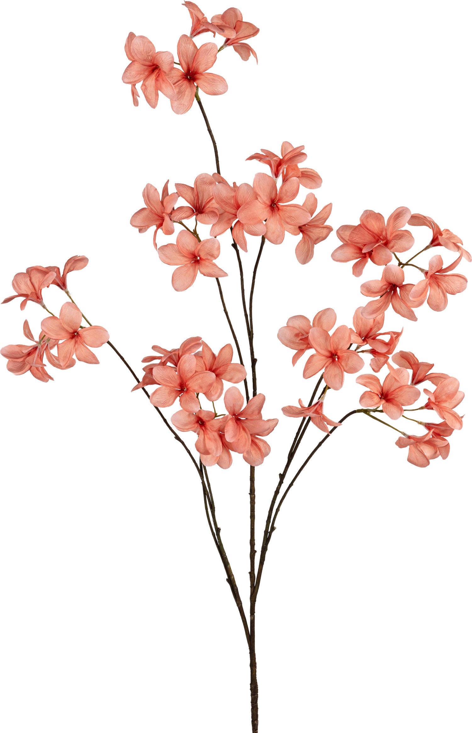 Louis Maes kunstbloem Plumeria roze 130 cm