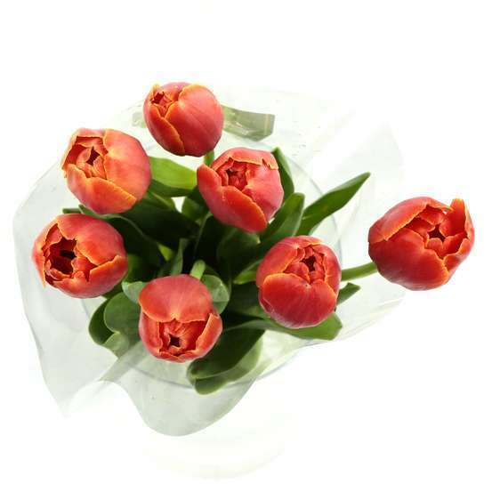 Botte 7 Tulipes H.40cm - Coloris variables
