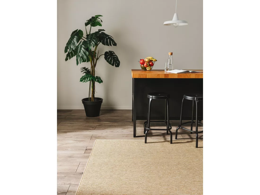 Tapis d'extérieur & intérieur Iowa Beige 80x150 cm