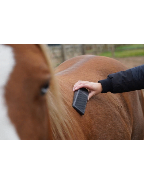 Excellent Horse Grooming Borstel - Paardenvachtverzorging - 23 cm Zwart