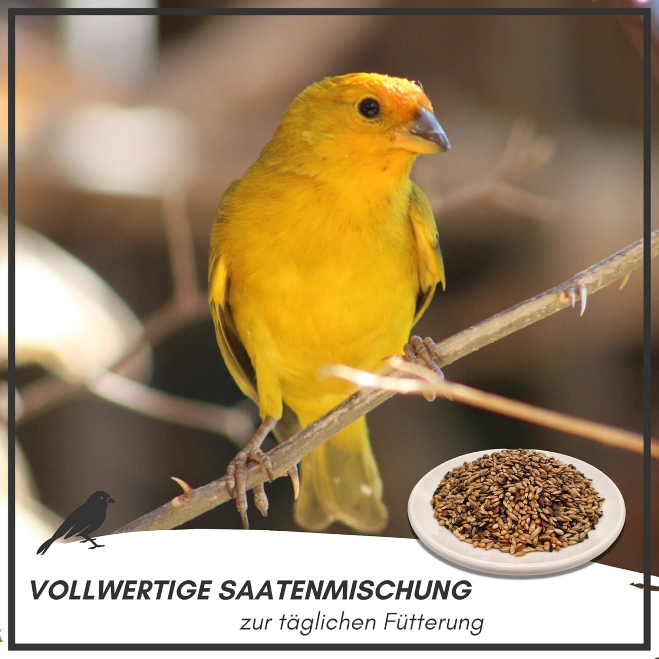 Supravit Kanarienfutter ohne Rübsen 2,5 kg