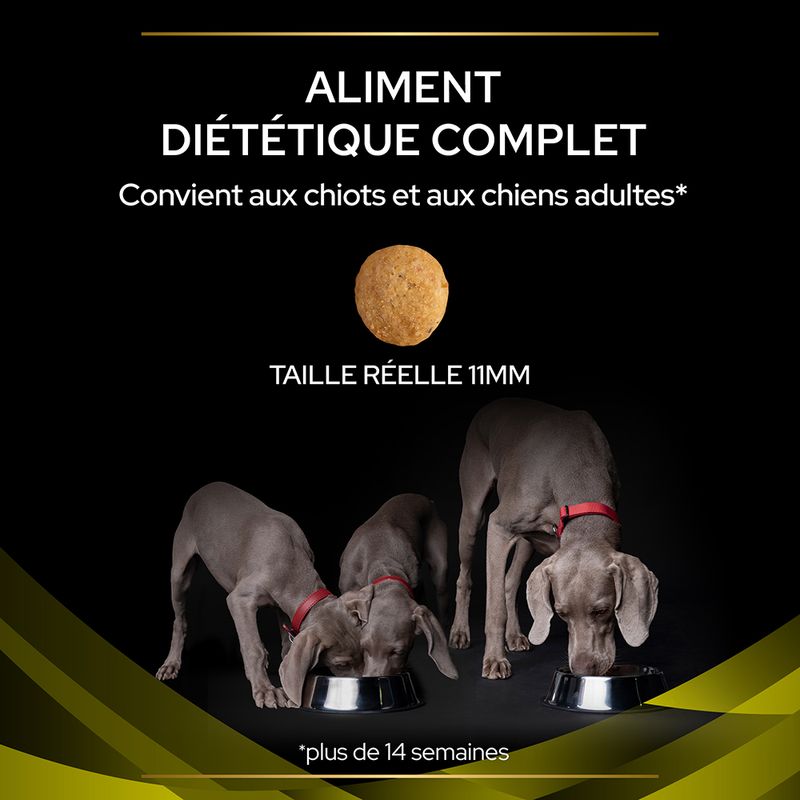 PURINA PRO PLAN Veterinary Diets HP Hepatic