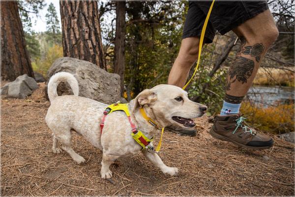 RUFFWEAR® Hundegeschirr Hi & Light™ Harness