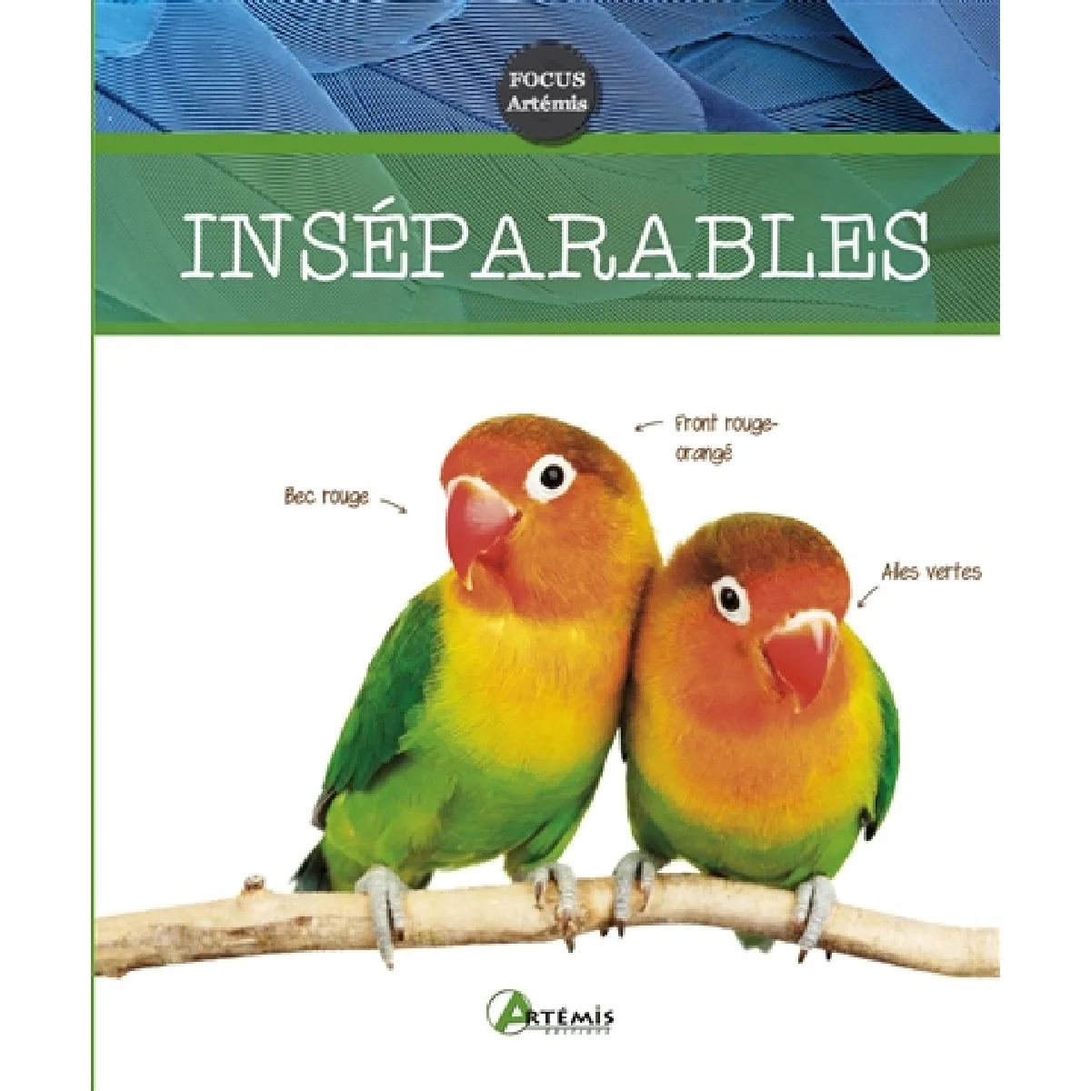 Inséparables · Occasion