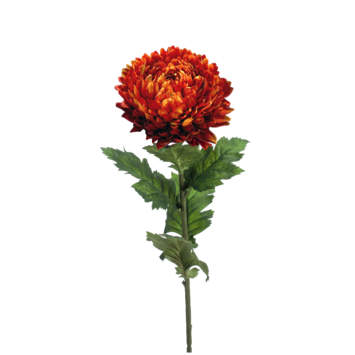 Mum spray flame 75cm
