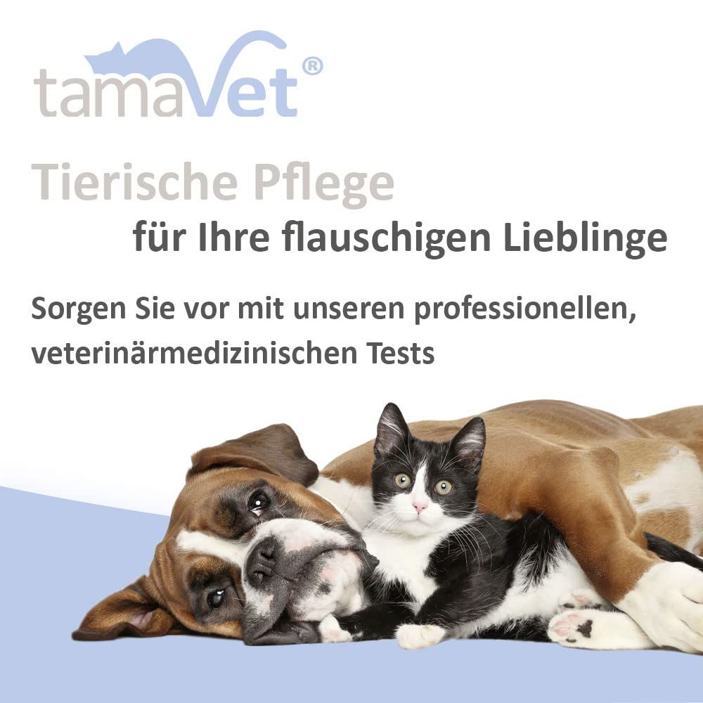 tamaVet Giardien Schnelltest für Hunde und Katzen