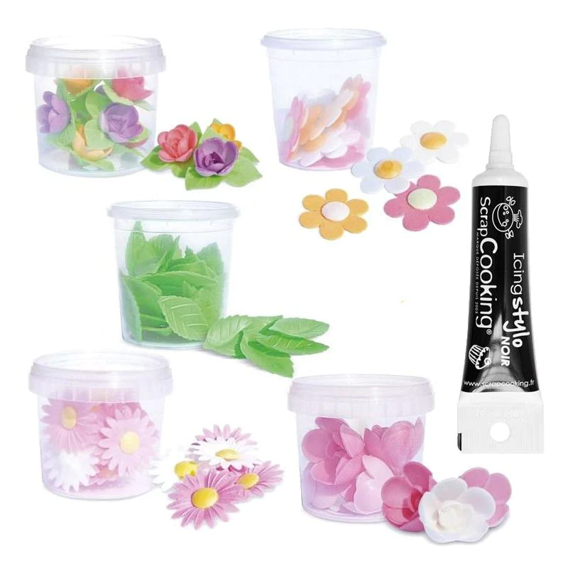 Décors feuilles & fleurs azyme + Stylo glaçage noir Scrapcooking