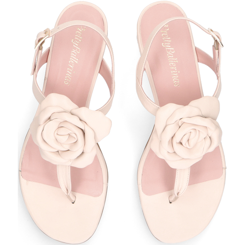 Pretty Ballerinas - Lulu Marrón