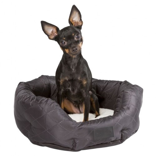 Cama acolchoada Charlotte para cães, preta