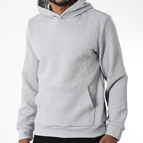 Sweat Capuche F22206 Gris