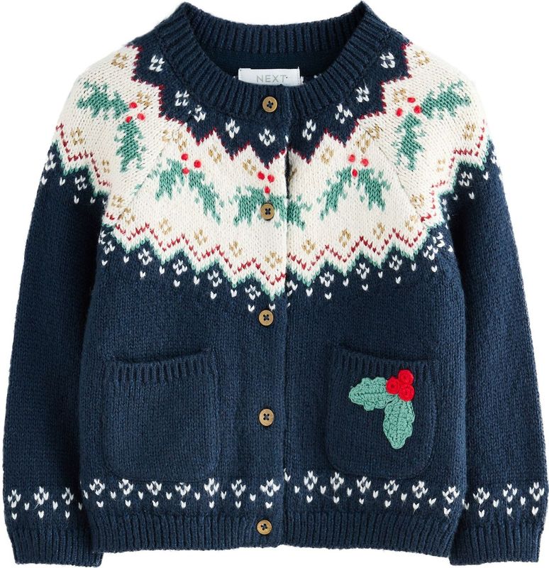 Next Gebreid vest  navy / gemengde kleuren