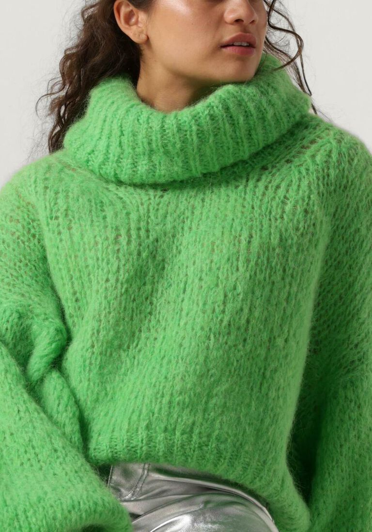 AMERICAN DREAMS groene american dreams coltrui pepper roll neck cropped