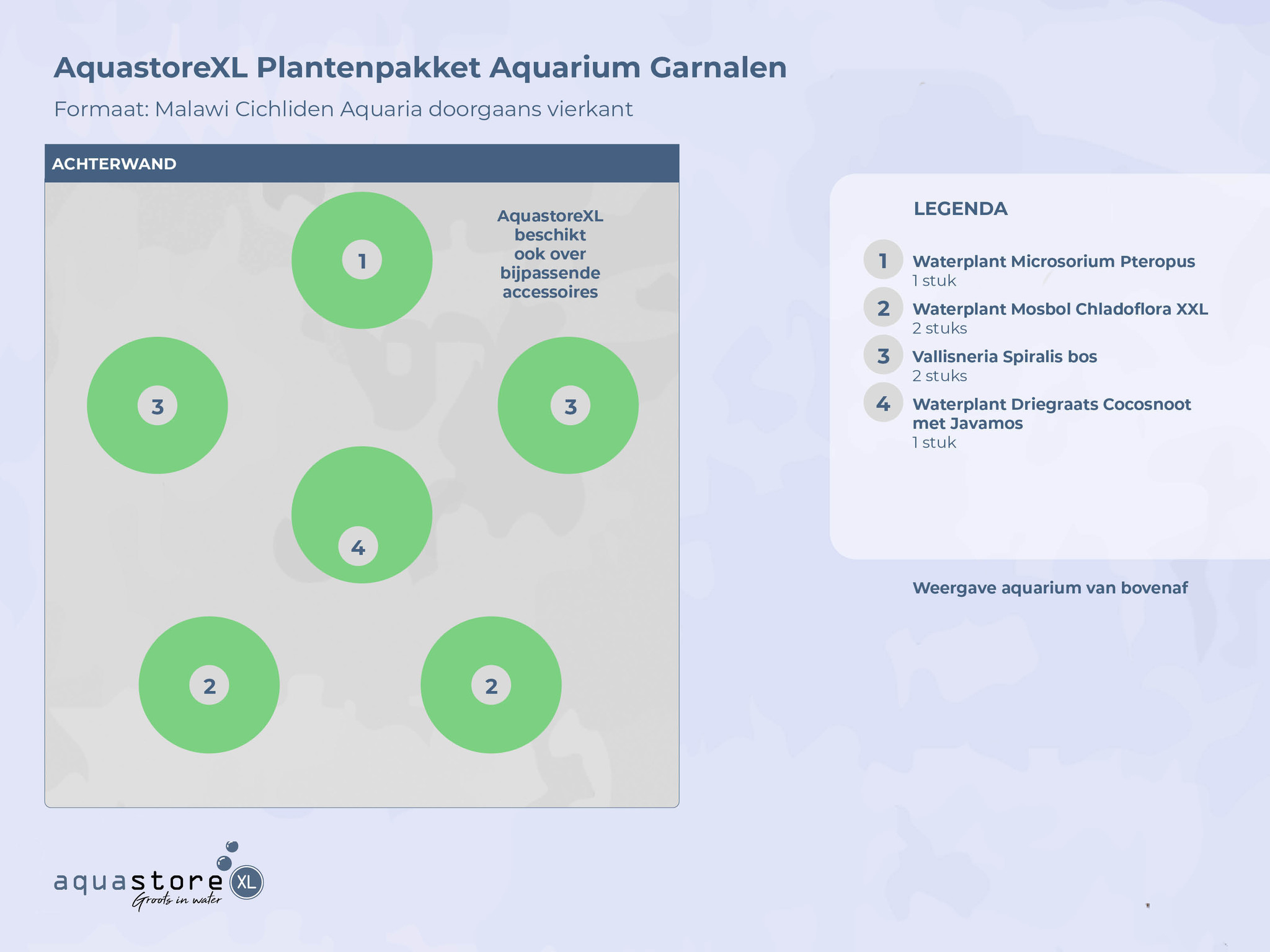 AquastoreXL Plantenpakket Garnalen 1