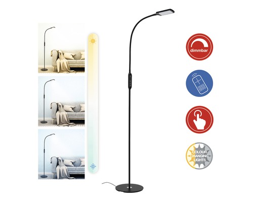 LED vloerlamp, dimbaar, CCT 700 lm, 3000-6500 KH, 140 cm, zwart, met afstandsbediening