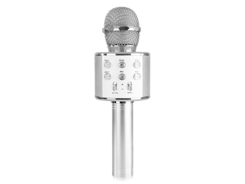 MAX Mikrofon KM01S Silber Karaoke Mikrofon mit eingebautem Lautsprecher