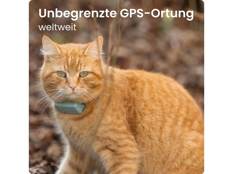 tractive GPS-Tracker CAT Mini LTE, Mint GPS Tracker für Katzen