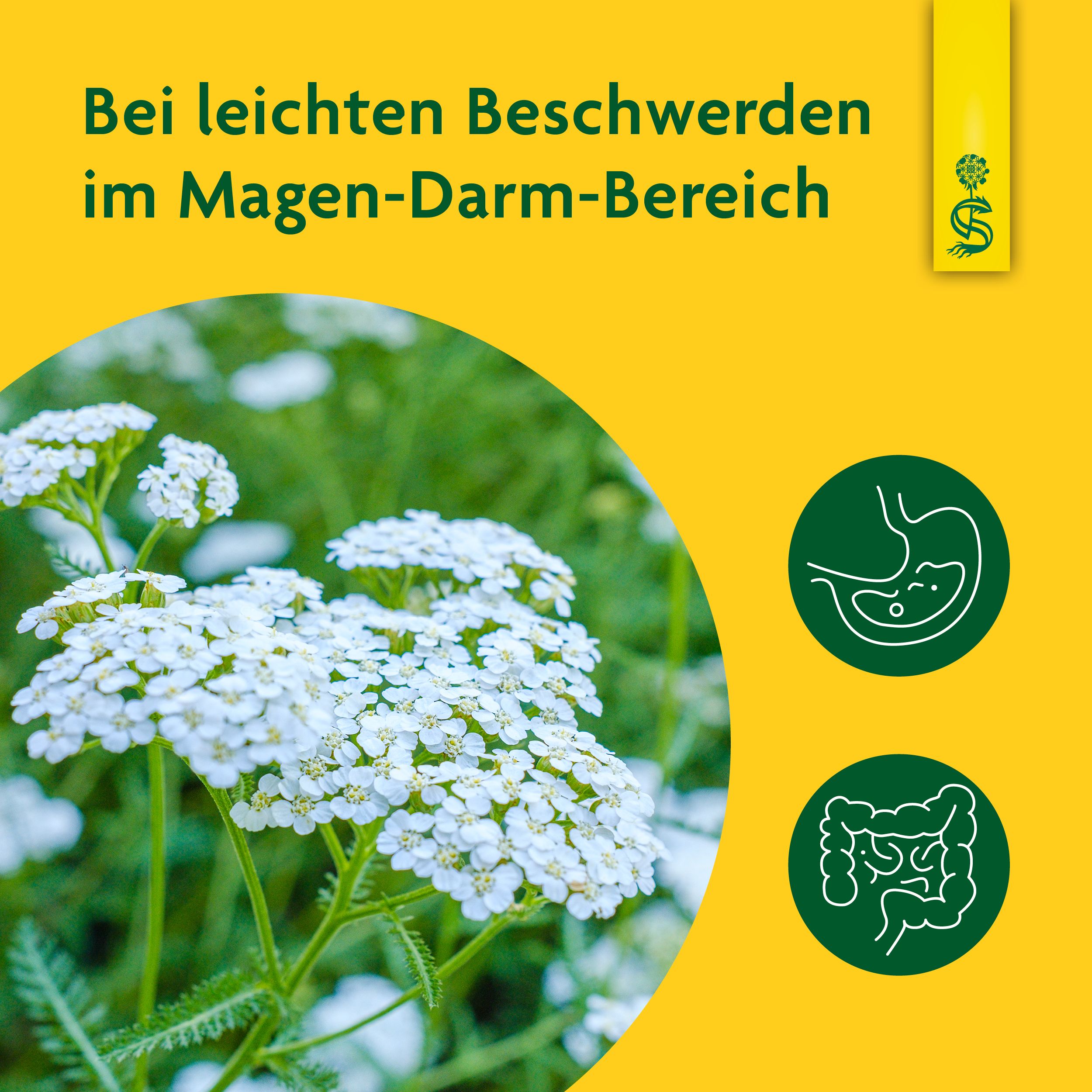 Schoenenberger® naturreiner Heilpflanzensaft Schafgarbe