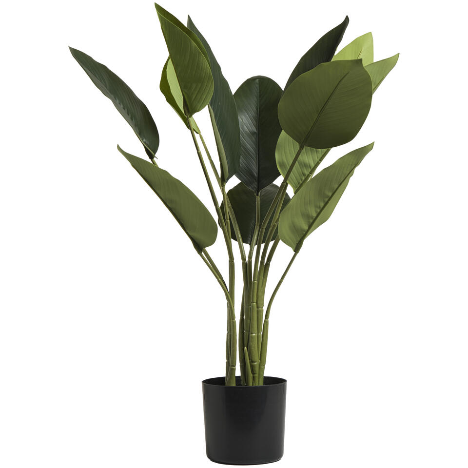Kunstplant Strelizia Groen