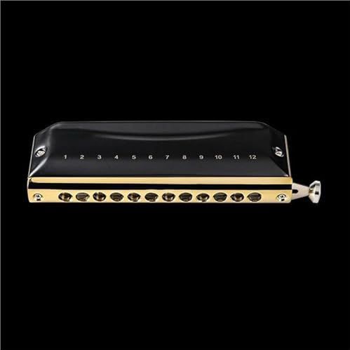 Harmonica's 12 Tone Professionele Chromatische Mondharmonica Roestvrijstalen Hoezen En Fosforbronzen Rieten(Black,GB)