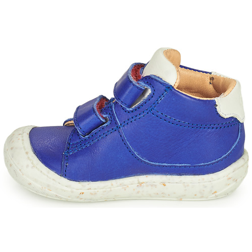 GBB - LANOU Azul