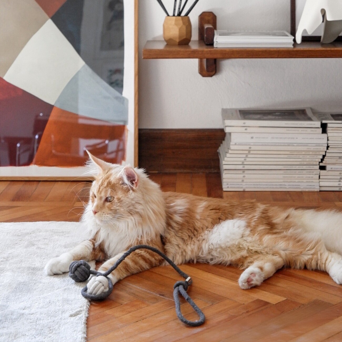 LucyBalu KNOT BALLS Katzen Wurfspielzeug grau/ weiß