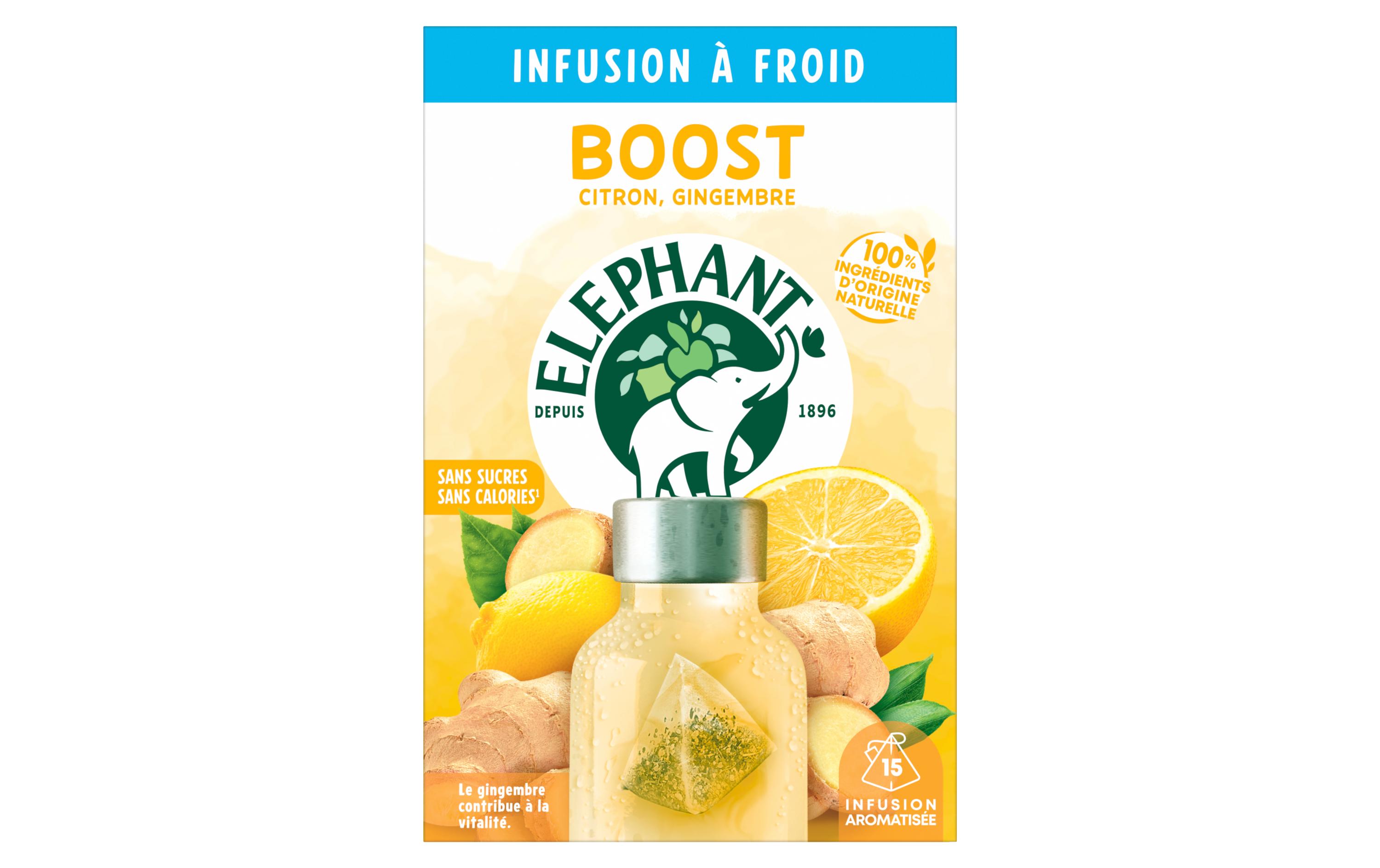 Teebeutel Cold Infusion a Froid Boost 15 StückTee mit Zitrone und Ingwer