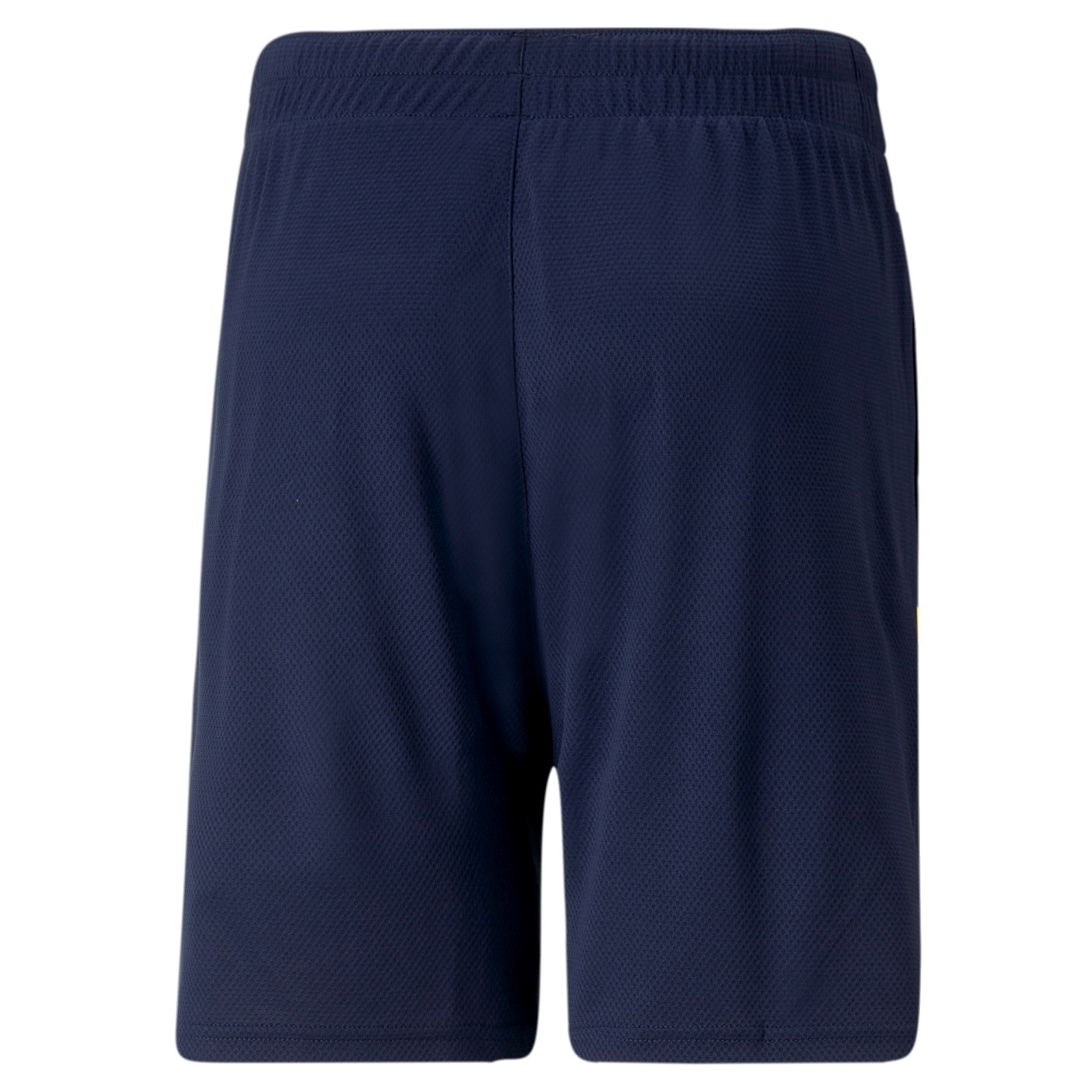 Fenerbahçe Trainingsshort Senior 2022-2023