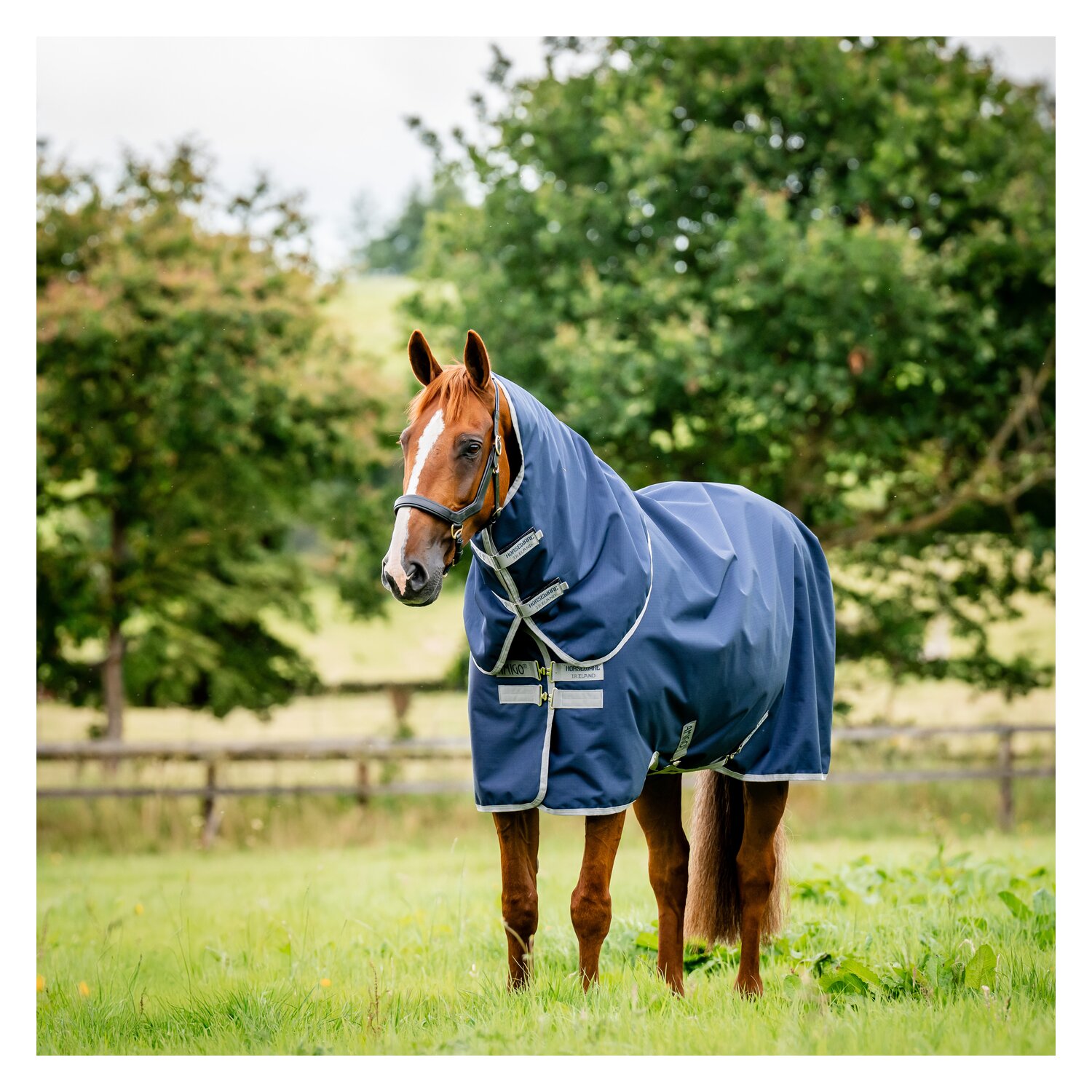 HORSEWARE Weidedecke AMIGO Ripstop 900 Denier, 200 g - navy/titanium grey