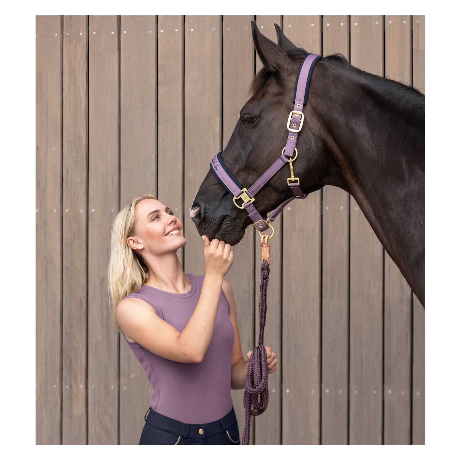 Cheval de Luxe T-Shirt Lille  - mauve - XXL