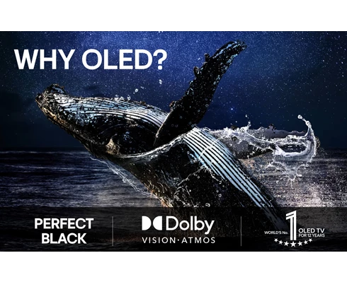LG OLED48C54LA