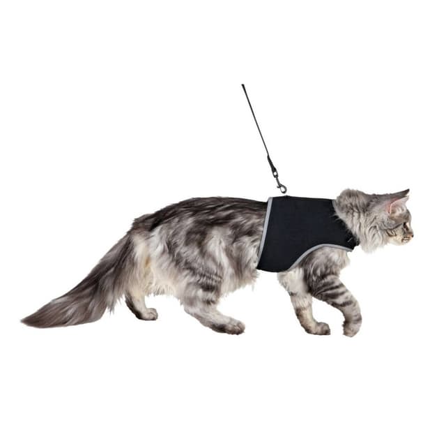 Blød sele med snor til katte, XL, 36–54 cm, 1,20 m, sort
