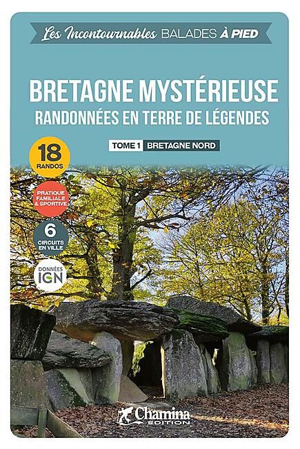 CHAMINA - BRETAGNE MYSTERIEUSE TOME 1