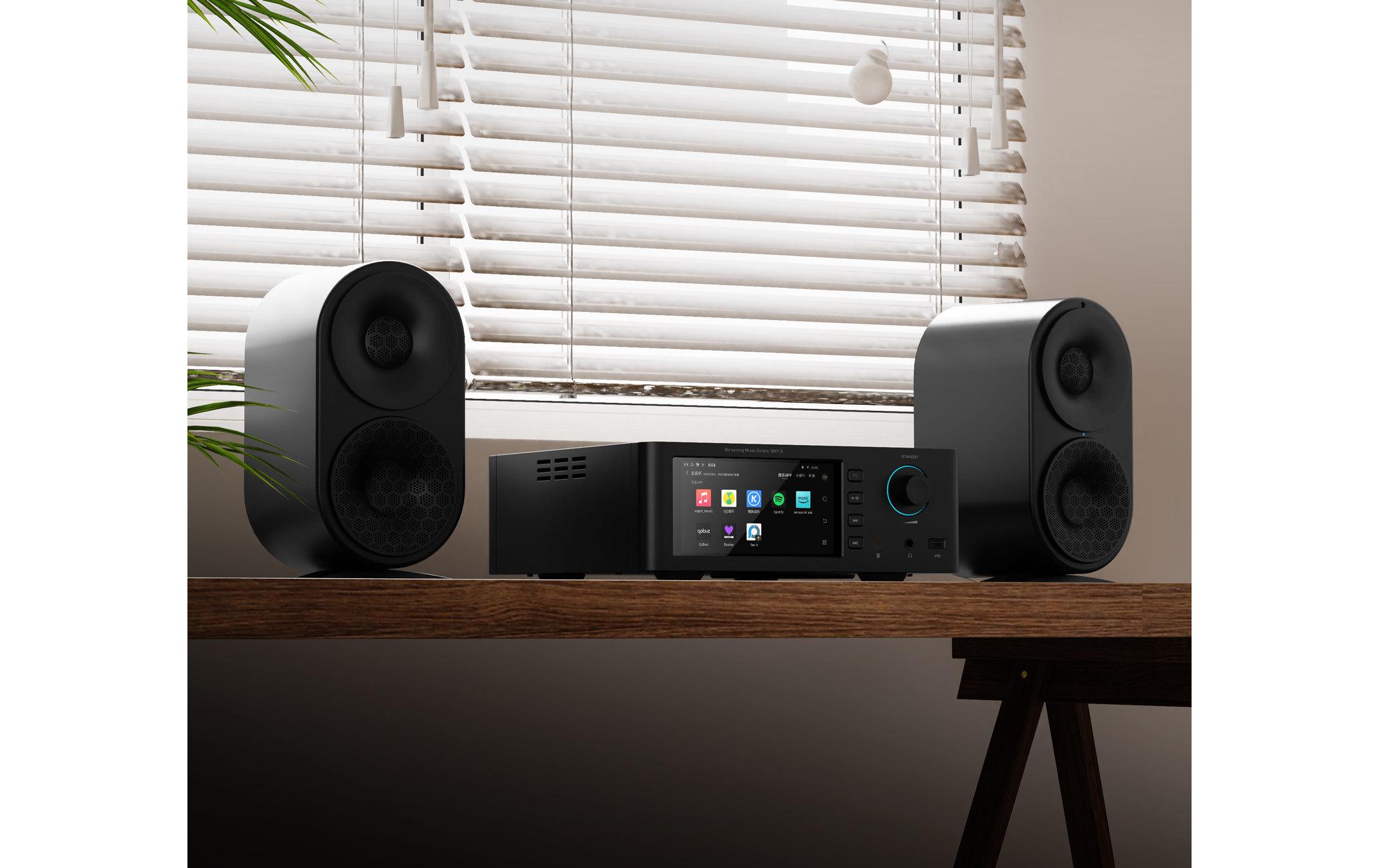 SM1.3 HiFi-Streamer Schwarz<br>High-Fidelity-Audio-Streamer