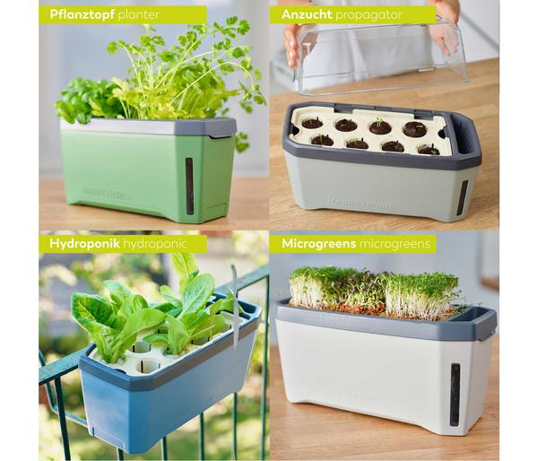 Gusta Garden Kräutertopf Harry Herbs, ca.