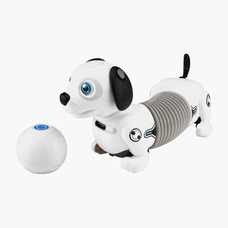 Robothund