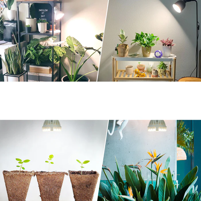 (10W) E27 17 LED's Grow Light Glühbirne Pflanzen Licht Full Spectrum Wachstumslicht für Pflanzen / Samen / Blüten (LE5527) - Kaltweiss