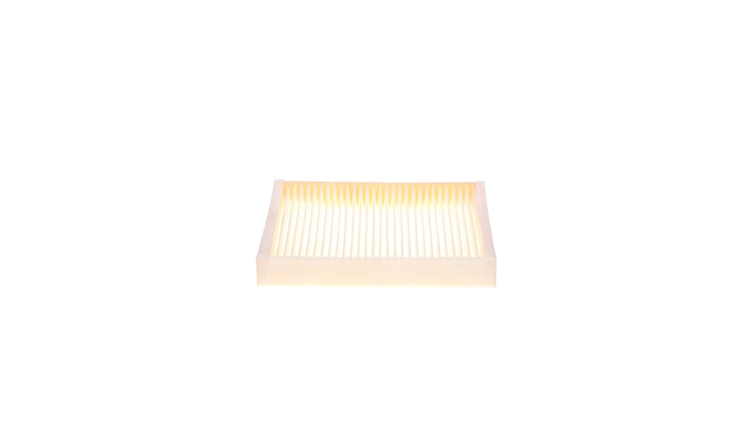 Pollenfilter, Pollenfilter